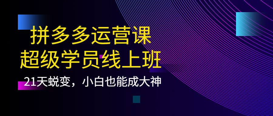 拼多多运营课:超级学员线上班,21天蜕变,小白也能成大神搞钱项目网-网创项目资源站-副业项目-创业项目-搞钱项目搞钱项目网