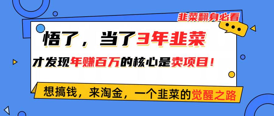 悟了,当了3年韭菜,才发现网赚圈年赚100万的核心是卖项目,含泪分享!搞钱项目网-网创项目资源站-副业项目-创业项目-搞钱项目搞钱项目网
