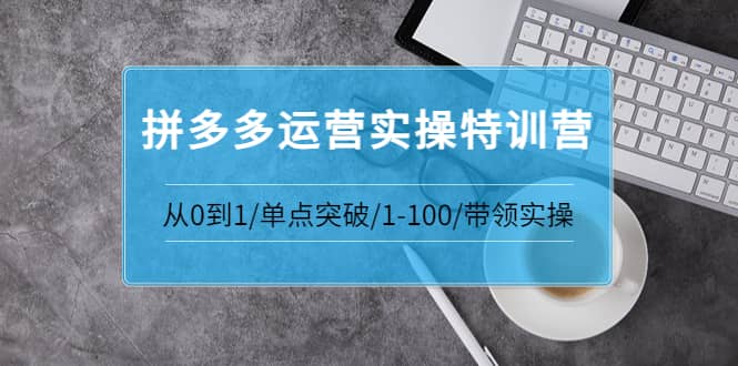 拼多多运营实操特训营:从0到1/单点突破/1-100/带领实操 价值2980元搞钱项目网-网创项目资源站-副业项目-创业项目-搞钱项目搞钱项目网