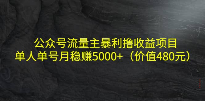公众号流量主暴利撸收益项目，单人单号月稳赚5000+（价值480元）搞钱项目网-网创项目资源站-副业项目-创业项目-搞钱项目搞钱项目网