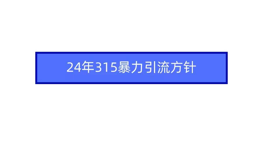 2024年315暴力引流方针搞钱项目网-网创项目资源站-副业项目-创业项目-搞钱项目搞钱项目网