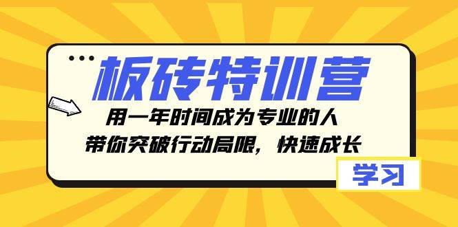 板砖特训营，用一年时间成为专业的人，带你突破行动局限，快速成长搞钱项目网-网创项目资源站-副业项目-创业项目-搞钱项目搞钱项目网