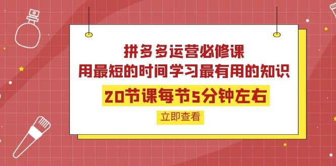 拼多多运营必修课:20节课每节5分钟左右,用最短的时间学习最有用的知识搞钱项目网-网创项目资源站-副业项目-创业项目-搞钱项目搞钱项目网