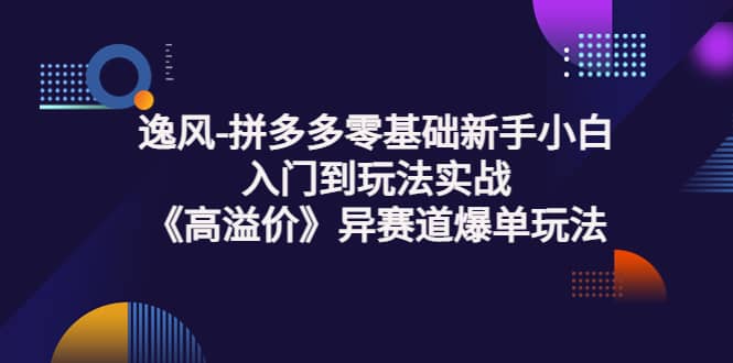 拼多多零基础新手小白入门到玩法实战《高溢价》异赛道爆单玩法实操课搞钱项目网-网创项目资源站-副业项目-创业项目-搞钱项目搞钱项目网