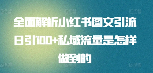全面解析小红书图文引流日引100私域流量是怎样做到的搞钱项目网-网创项目资源站-副业项目-创业项目-搞钱项目搞钱项目网