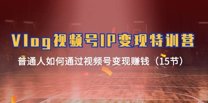 Vlog 视频号IP变现特训营，普通人如何通过视频号变现赚钱（15节）搞钱项目网-网创项目资源站-副业项目-创业项目-搞钱项目搞钱项目网