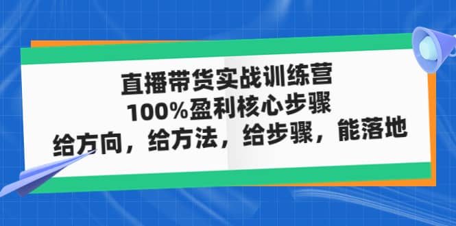 直播带货实战训练营：100%盈利核心步骤，给方向，给方法，给步骤，能落地搞钱项目网-网创项目资源站-副业项目-创业项目-搞钱项目搞钱项目网
