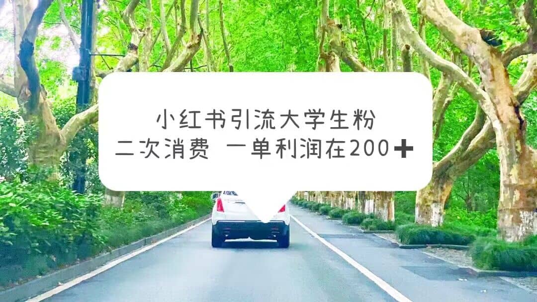 小红书引流大学生粉，变现项目，一单利润在200+（教程+资源）搞钱项目网-网创项目资源站-副业项目-创业项目-搞钱项目搞钱项目网