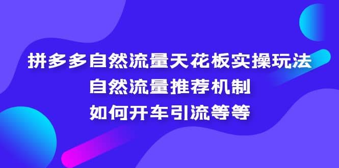 拼多多自然流量天花板实操玩法:自然流量推荐机制,如何开车引流等等搞钱项目网-网创项目资源站-副业项目-创业项目-搞钱项目搞钱项目网
