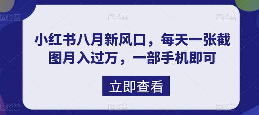 八月新风口，小红书虚拟项目一天收入1000+，实战揭秘搞钱项目网-网创项目资源站-副业项目-创业项目-搞钱项目搞钱项目网