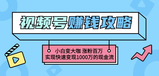 玩转微信视频号赚钱：小白变大咖涨粉百万实现快速变现1000万的现金流搞钱项目网-网创项目资源站-副业项目-创业项目-搞钱项目搞钱项目网