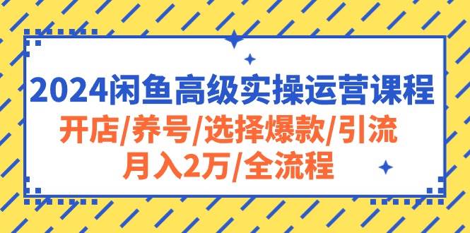 2024闲鱼高级实操运营课程：开店/养号/选择爆款/引流/月入2万/全流程搞钱项目网-网创项目资源站-副业项目-创业项目-搞钱项目搞钱项目网