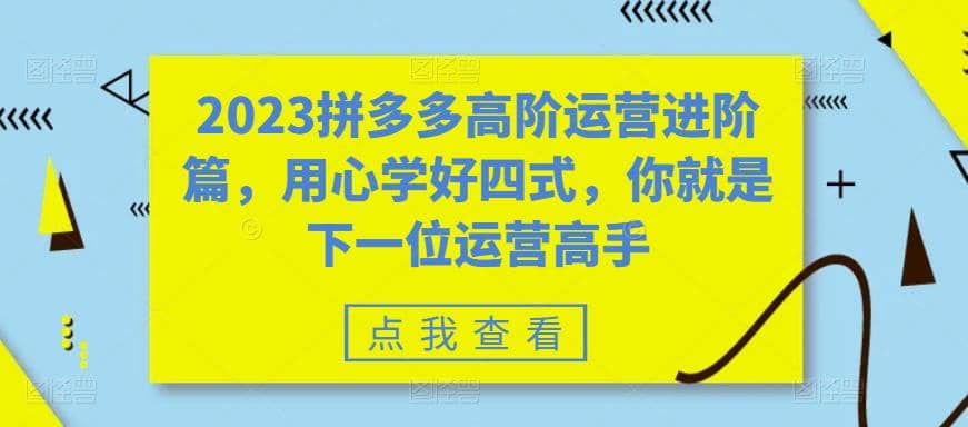 2023拼多多高阶运营进阶篇，用心学好四式，你就是下一位运营高手搞钱项目网-网创项目资源站-副业项目-创业项目-搞钱项目搞钱项目网
