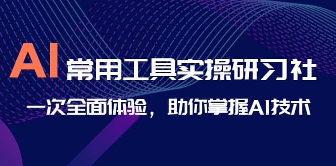 AI-常用工具实操研习社，一次全面体验，助你掌握AI技术搞钱项目网-网创项目资源站-副业项目-创业项目-搞钱项目搞钱项目网