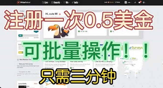 国外项目注册一次0.5美金 只需三分钟无脑操作 可批量放大 小白工作室福利搞钱项目网-网创项目资源站-副业项目-创业项目-搞钱项目搞钱项目网