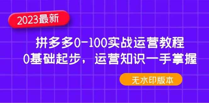 2023拼多多0-100实战运营教程，0基础起步，运营知识一手掌握（无水印）搞钱项目网-网创项目资源站-副业项目-创业项目-搞钱项目搞钱项目网