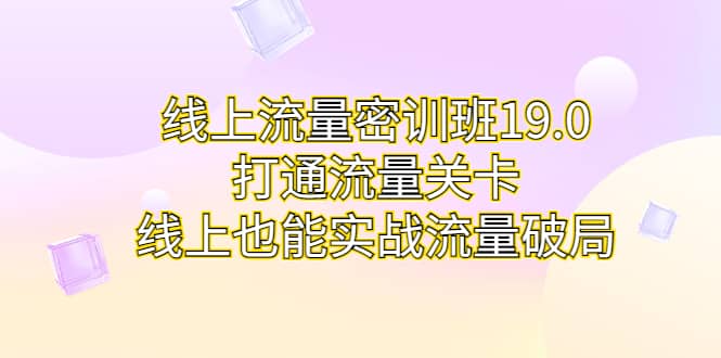 线上流量密训班19.0，打通流量关卡，线上也能实战流量破局搞钱项目网-网创项目资源站-副业项目-创业项目-搞钱项目搞钱项目网