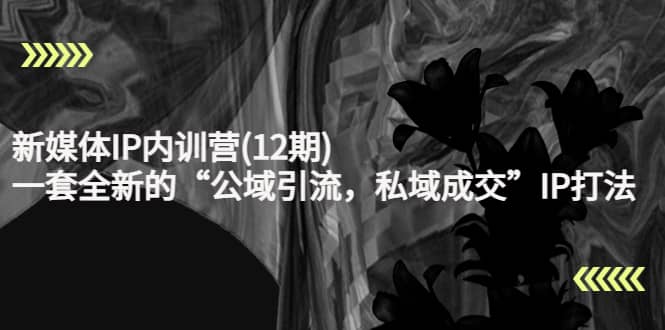 新媒体IP内训营(12期)，一套全新的“公域引流，私域成交”IP打法，直接带走搞钱项目网-网创项目资源站-副业项目-创业项目-搞钱项目搞钱项目网
