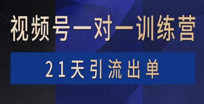 视频号训练营：带货，涨粉，直播，游戏，四大变现新方向，21天引流出单搞钱项目网-网创项目资源站-副业项目-创业项目-搞钱项目搞钱项目网