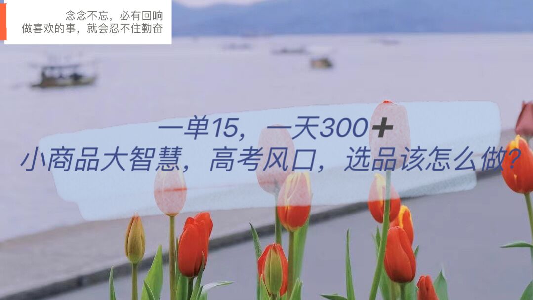一单15，一天300+，小商品大智慧，高考风口，选品该怎么布局搞钱项目网-网创项目资源站-副业项目-创业项目-搞钱项目搞钱项目网