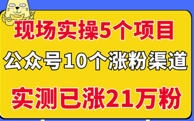 现场实操5个公众号项目，10个涨粉渠道，实测已涨21万粉！搞钱项目网-网创项目资源站-副业项目-创业项目-搞钱项目搞钱项目网