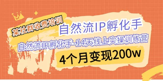 某社群收费培训：自然流IP 孵化手-14天线上实操训练营 4个月变现200w搞钱项目网-网创项目资源站-副业项目-创业项目-搞钱项目搞钱项目网