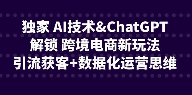 独家 AI技术ChatGPT解锁 跨境电商新玩法,引流获客+数据化运营思维搞钱项目网-网创项目资源站-副业项目-创业项目-搞钱项目搞钱项目网
