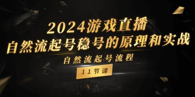 2024游戏直播-自然流起号稳号的原理和实战，自然流起号流程（11节）搞钱项目网-网创项目资源站-副业项目-创业项目-搞钱项目搞钱项目网