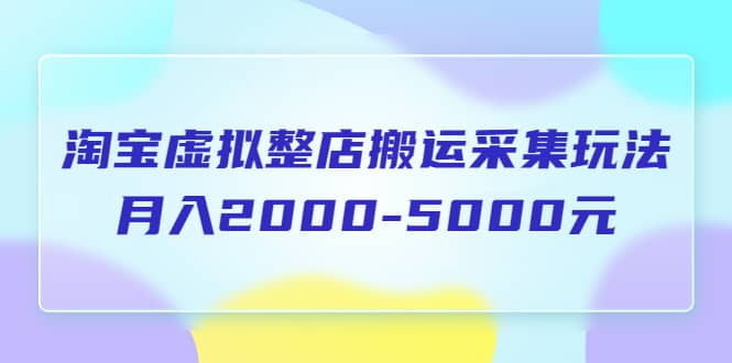 淘宝虚拟整店搬运采集玩法分享课：月入2000-5000元（5节课）搞钱项目网-网创项目资源站-副业项目-创业项目-搞钱项目搞钱项目网