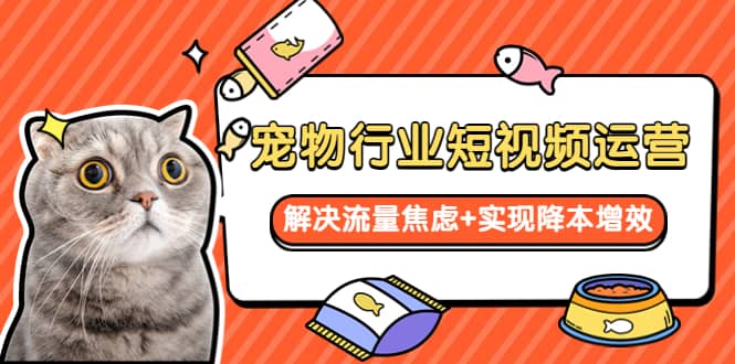 宠物/行业短视频运营 流量增长的一层窗户纸 解决流量焦虑+实现降本增效搞钱项目网-网创项目资源站-副业项目-创业项目-搞钱项目搞钱项目网