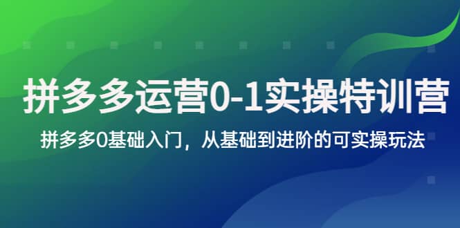 拼多多-运营0-1实操训练营，拼多多0基础入门，从基础到进阶的可实操玩法搞钱项目网-网创项目资源站-副业项目-创业项目-搞钱项目搞钱项目网