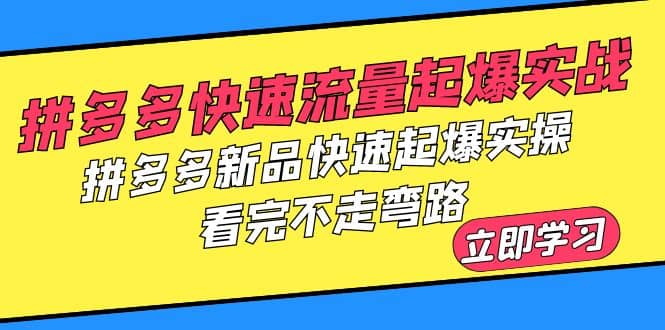 拼多多-快速流量起爆实战，拼多多新品快速起爆实操，看完不走弯路搞钱项目网-网创项目资源站-副业项目-创业项目-搞钱项目搞钱项目网