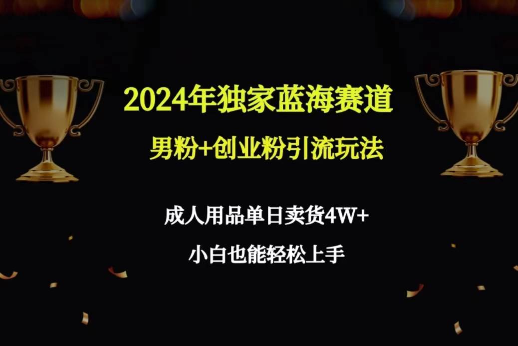 2024年独家蓝海赛道男粉+创业粉引流玩法，成人用品单日卖货4W+保姆教程搞钱项目网-网创项目资源站-副业项目-创业项目-搞钱项目搞钱项目网