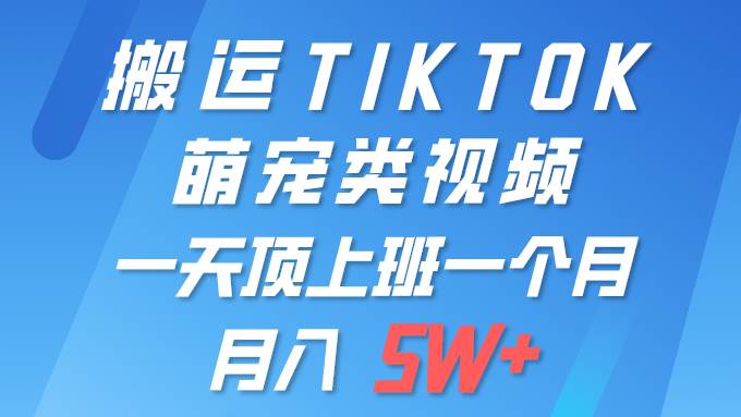 一键搬运TIKTOK萌宠类视频 一部手机即可操作 所有平台均可发布 轻松月入5W+搞钱项目网-网创项目资源站-副业项目-创业项目-搞钱项目搞钱项目网