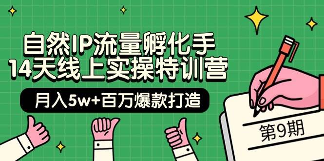 自然IP流量孵化手 14天线上实操特训营【第9期】月入5w+百万爆款打造 (74节)搞钱项目网-网创项目资源站-副业项目-创业项目-搞钱项目搞钱项目网