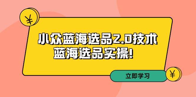 拼多多培训第33期：小众蓝海选品2.0技术-蓝海选品实操！搞钱项目网-网创项目资源站-副业项目-创业项目-搞钱项目搞钱项目网