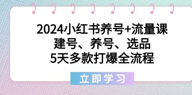2024小红书养号+流量课：建号、养号、选品，5天多款打爆全流程搞钱项目网-网创项目资源站-副业项目-创业项目-搞钱项目搞钱项目网