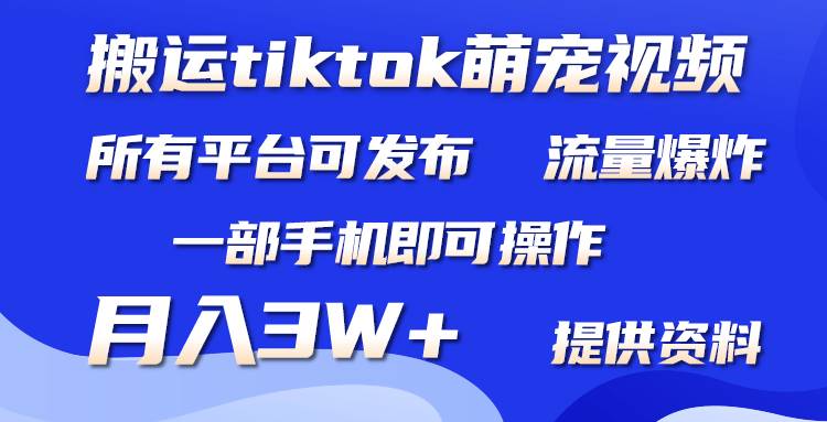 搬运Tiktok萌宠类视频，一部手机即可。所有短视频平台均可操作，月入3W+搞钱项目网-网创项目资源站-副业项目-创业项目-搞钱项目搞钱项目网