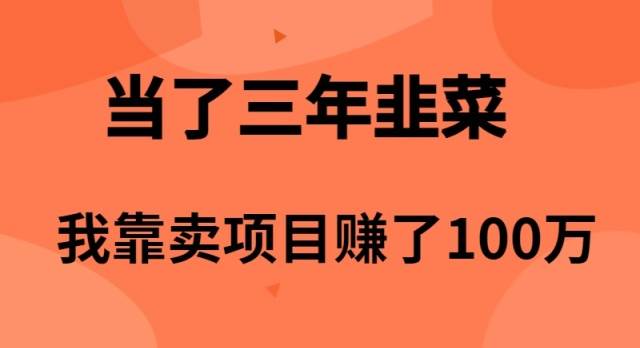 当了3年韭菜,我靠卖项目赚了100万搞钱项目网-网创项目资源站-副业项目-创业项目-搞钱项目搞钱项目网