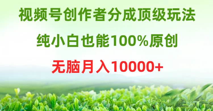视频号创作者分成顶级玩法，纯小白也能100%原创，无脑月入10000+搞钱项目网-网创项目资源站-副业项目-创业项目-搞钱项目搞钱项目网
