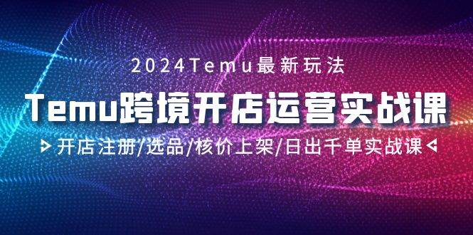 2024Temu跨境开店运营实战课，开店注册/选品/核价上架/日出千单实战课搞钱项目网-网创项目资源站-副业项目-创业项目-搞钱项目搞钱项目网