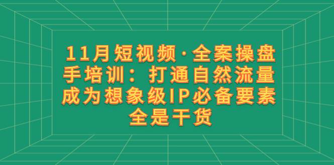 11月短视频·全案操盘手培训：打通自然流量 成为想象级IP必备要素 全是干货搞钱项目网-网创项目资源站-副业项目-创业项目-搞钱项目搞钱项目网