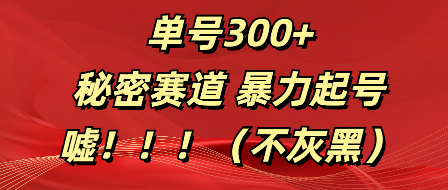 单号300+  秘密赛道 暴力起号  （不灰黑）搞钱项目网-网创项目资源站-副业项目-创业项目-搞钱项目搞钱项目网