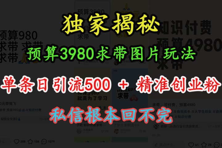 “小红书”预算3980求带 图片玩法,单条日引流500+精准创业粉,私信根本回不完搞钱项目网-网创项目资源站-副业项目-创业项目-搞钱项目搞钱项目网