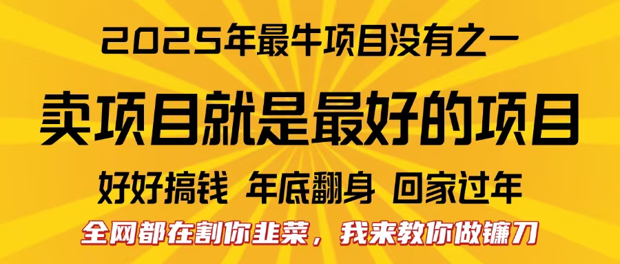 全网都在割你韭菜，我来教你做镰刀。卖项目就是最好的项目，2025年最牛互联网项目搞钱项目网-网创项目资源站-副业项目-创业项目-搞钱项目搞钱项目网