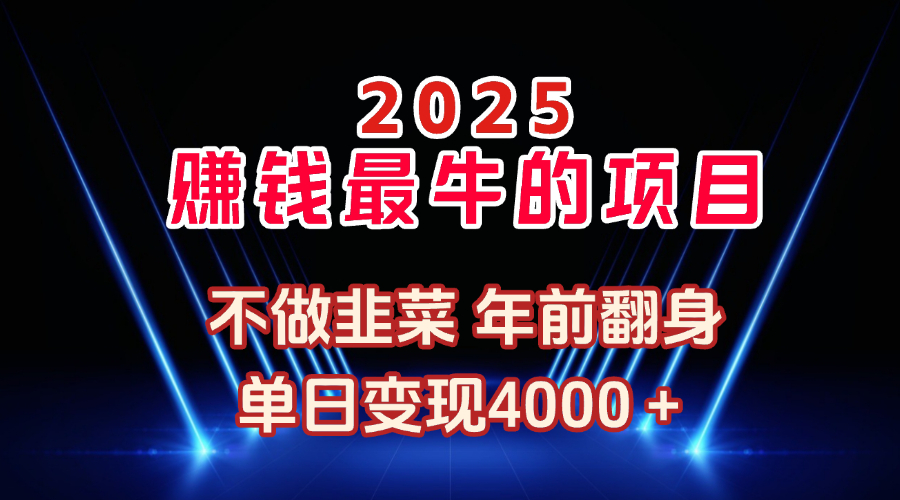 2025年赚钱最牛的项目 不做韭菜 年前翻身搞钱项目网-网创项目资源站-副业项目-创业项目-搞钱项目搞钱项目网