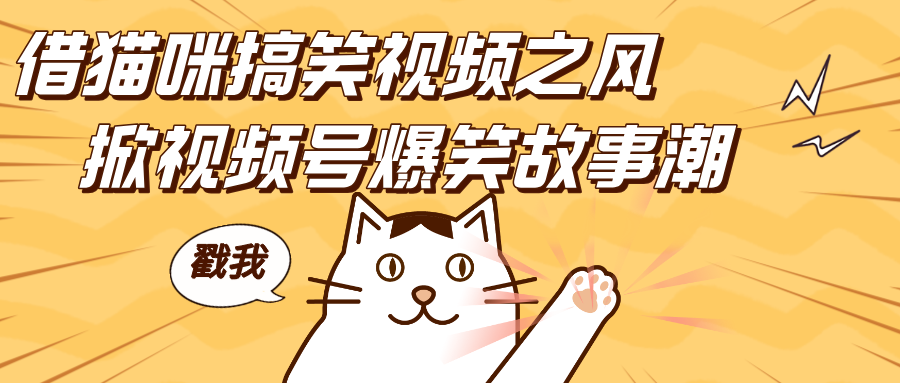 借猫咪搞笑视频之风,掀视频号爆笑故事潮,轻松日赚四位数,开启无门槛赚钱新体验!搞钱项目网-网创项目资源站-副业项目-创业项目-搞钱项目搞钱项目网