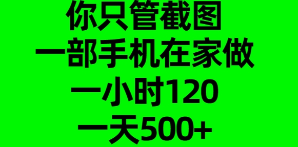 你只管截图,一部手机在家做,一小时120,一天500+搞钱项目网-网创项目资源站-副业项目-创业项目-搞钱项目搞钱项目网