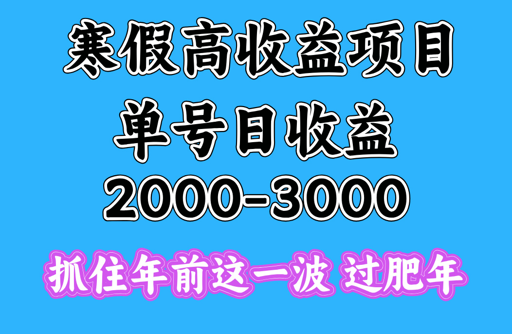 寒假期间一天收益2000-3000+,抓住年前这一波搞钱项目网-网创项目资源站-副业项目-创业项目-搞钱项目搞钱项目网