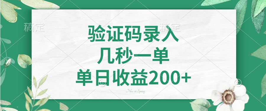 验证码录入，几秒一单，单日收益200+搞钱项目网-网创项目资源站-副业项目-创业项目-搞钱项目搞钱项目网
